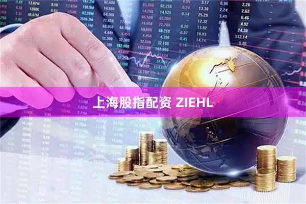 上海股指配资 ZIEHL