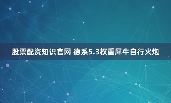 股票配资知识官网 德系5.3权重犀牛自行火炮