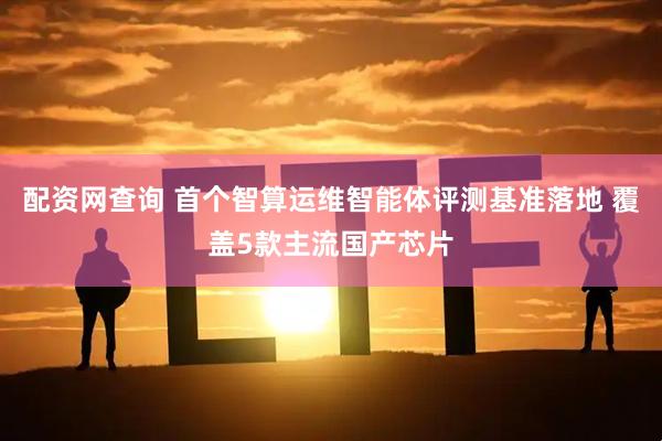 配资网查询 首个智算运维智能体评测基准落地 覆盖5款主流国产芯片